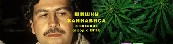 сатива Кодинск