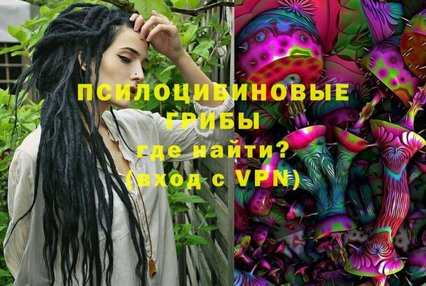 mix Козельск