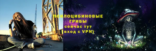 спиды Козловка