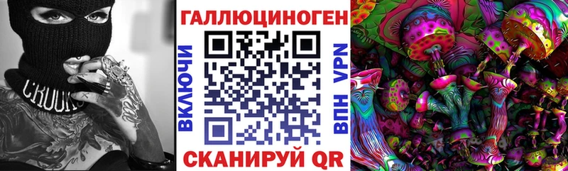 Купить закладки  Нытва  Галлюциногенные грибы Magic Shrooms 